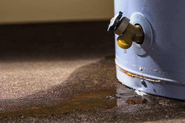 Best Carpet water damage restoration  in Whitmire, SC