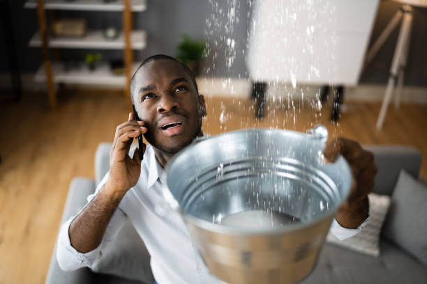 Best Water damage restoration near me  in Whitmire, SC