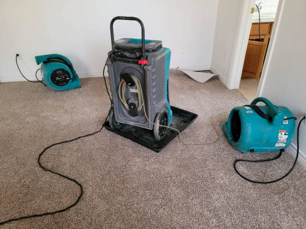 Best Water damage restoration near me  in Whitmire, SC
