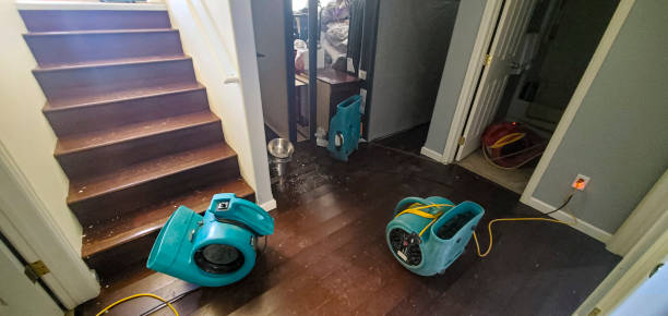 Best Flood restoration services  in Whitmire, SC