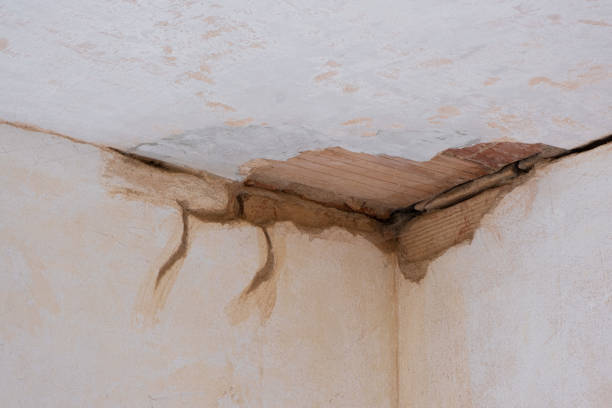 Best Emergency water damage restoration  in Whitmire, SC