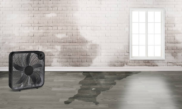 Best Commercial water damage restoration  in Whitmire, SC