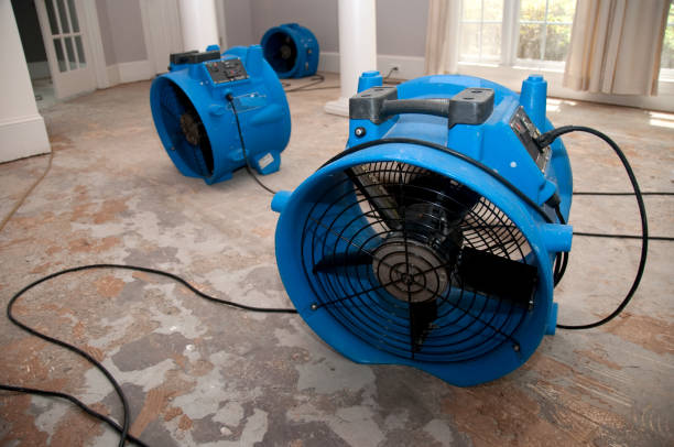 Best Basement water damage restoration  in Whitmire, SC