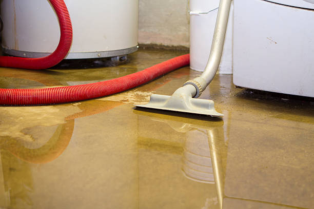 Professional Water damage restoration in SC