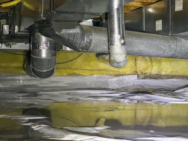 Best Emergency water extraction  in Whitmire, SC