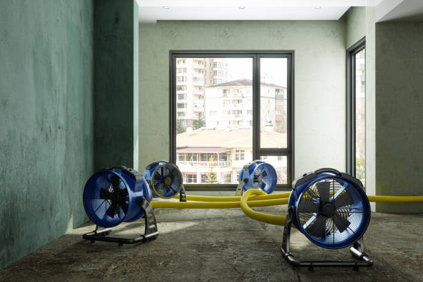 Best Water damage restoration insurance claims  in Whitmire, SC